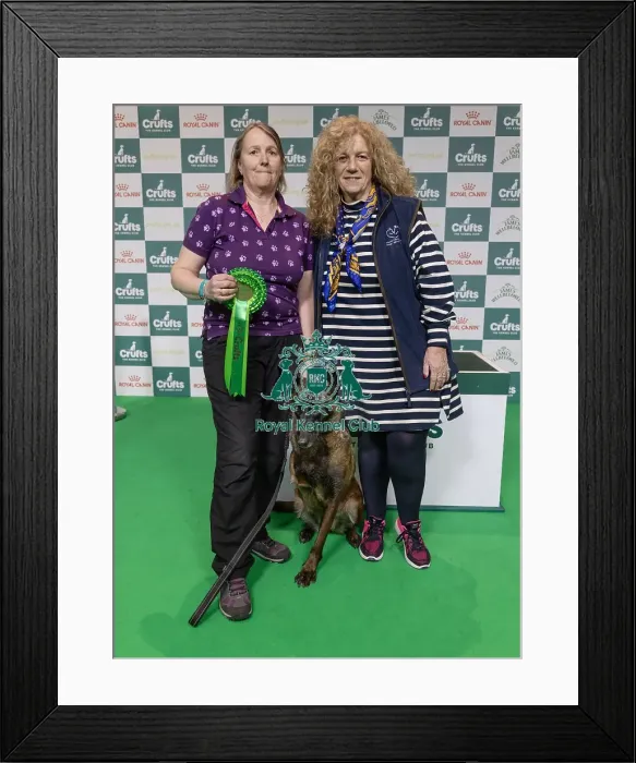 Framed Print : Winner of the Kennel Club Hero Dog Award Mandy Chapman with Baloo pictured with Lady Bathurst (Sunday 09) Framed Print : Winner of the Kennel Club Hero Dog Award Mandy Chapman with Baloo pictured with Lady Bathurst (Sunday 09)