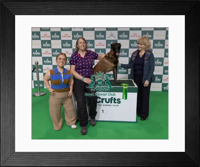Framed Print : Winner of the Kennel Club Hero Dog Award Mandy Chapman with Baloo pictured with Ellie Immonds & Jo Hamilton (Sunday 09) Framed Print : Winner of the Kennel Club Hero Dog Award Mandy Chapman with Baloo pictured with Ellie Immonds & Jo Hamilton (Sunday 09)
