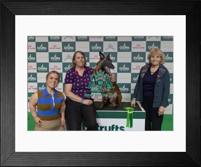 Framed Print : Winner of the Kennel Club Hero Dog Award Mandy Chapman with Baloo pictured with Ellie Immonds & Jo Hamilton (Sunday 09) Framed Print : Winner of the Kennel Club Hero Dog Award Mandy Chapman with Baloo pictured with Ellie Immonds & Jo Hamilton (Sunday 09)