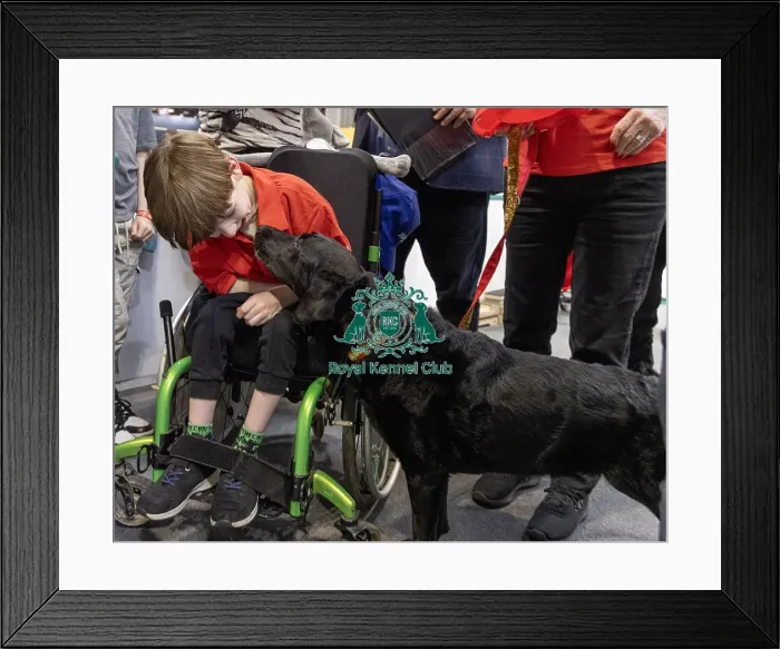 Framed Print : Frankie Sheridan-Hill (9) Framed Print : Frankie Sheridan-Hill (9)