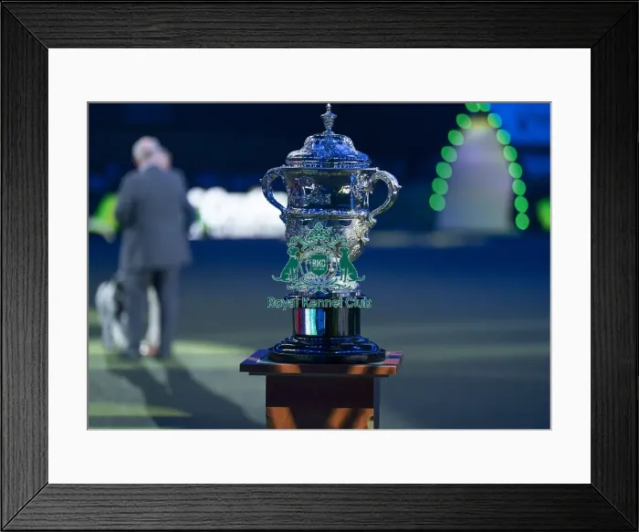 Framed Print : The Crufts Best in Show Keddell Memorial trophy Framed Print : The Crufts Best in Show Keddell Memorial trophy