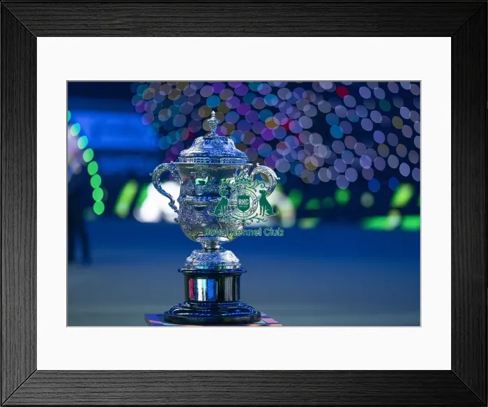 Framed Print : The Crufts Best in Show Keddell Memorial trophy Framed Print : The Crufts Best in Show Keddell Memorial trophy