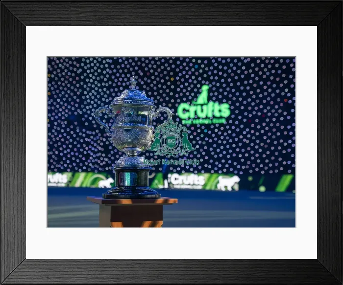 Framed Print : The Crufts Best in Show Keddell Memorial trophy Framed Print : The Crufts Best in Show Keddell Memorial trophy