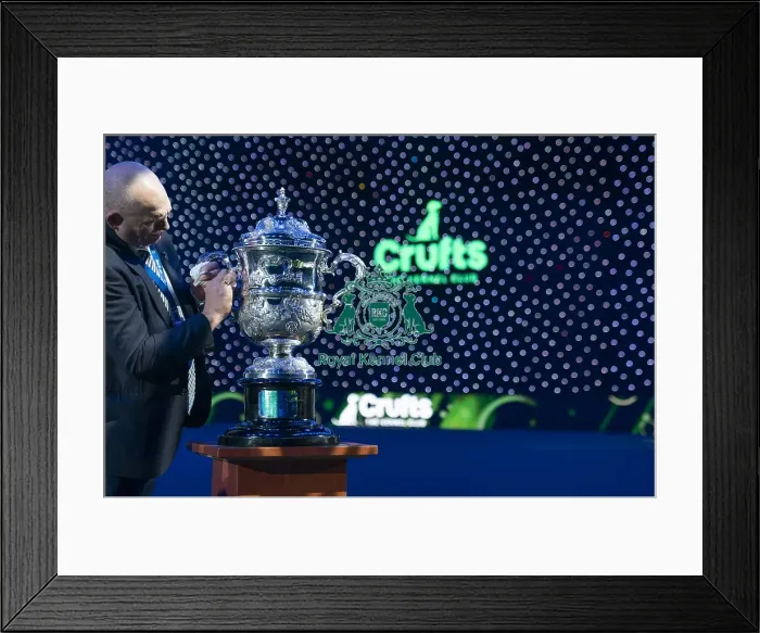 Framed Print : Finishing touch on the Crufts Best in Show Keddell Memorial trophy Framed Print : Finishing touch on the Crufts Best in Show Keddell Memorial trophy