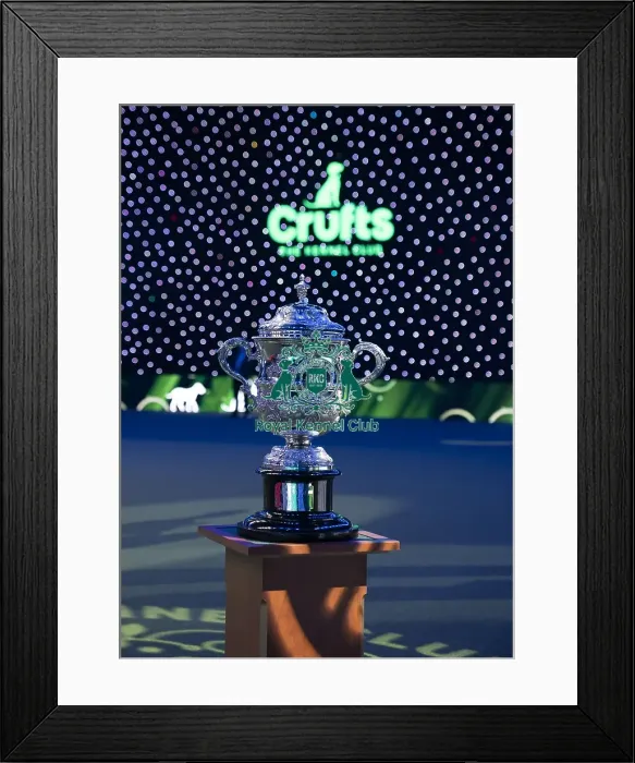 Framed Print : The Crufts Best in Show Keddell Memorial trophy Framed Print : The Crufts Best in Show Keddell Memorial trophy