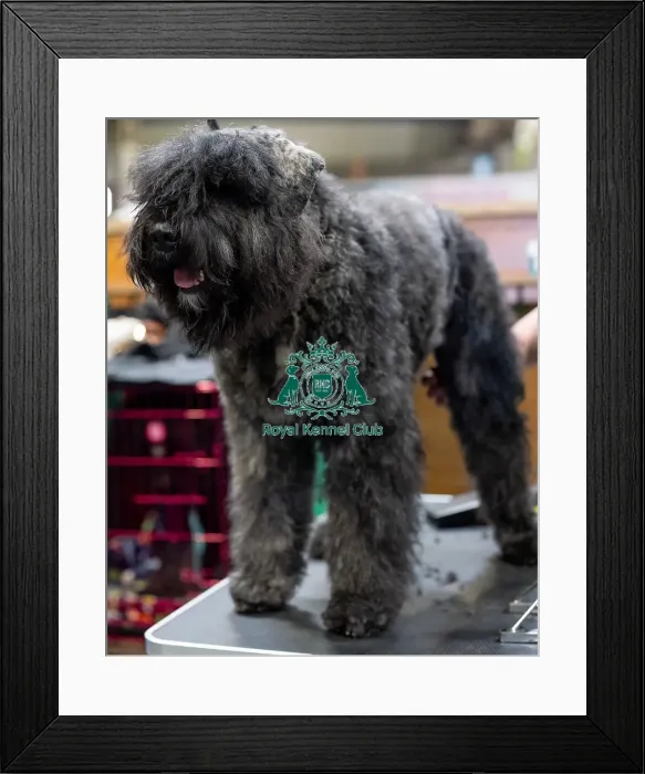 Framed Print : Steve & Helen Dallow from Merthyr Tydfil Framed Print : Steve & Helen Dallow from Merthyr Tydfil