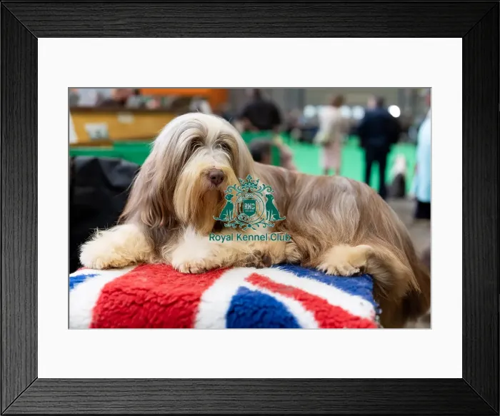 Framed Print : Josie from France with Redford Framed Print : Josie from France with Redford