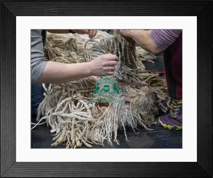 Framed Print : Ivona Aeem from Swizerland with Julie Framed Print : Ivona Aeem from Swizerland with Julie