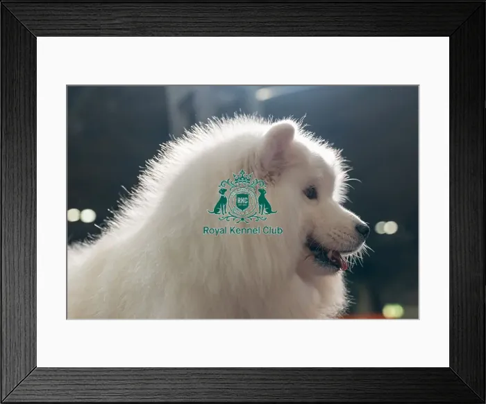 Framed Print : Jacqui Collinson from West Yorkshire with Kalise Framed Print : Jacqui Collinson from West Yorkshire with Kalise