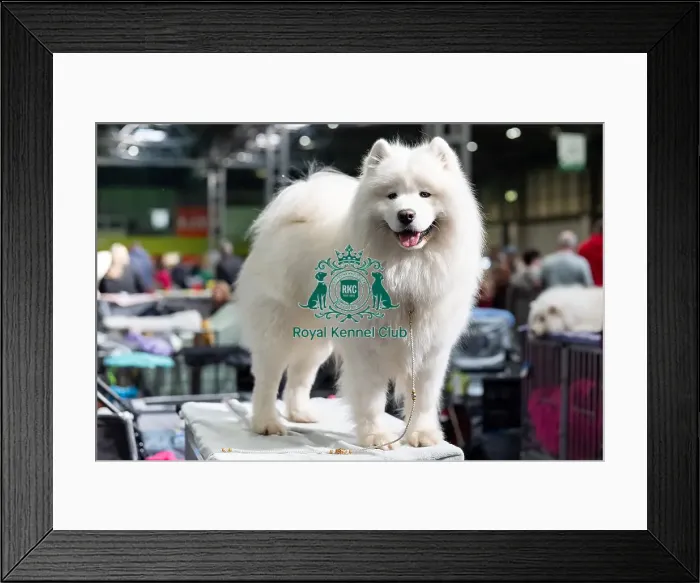 Framed Print : Iva Hopkins from Oxfordshire with Archie