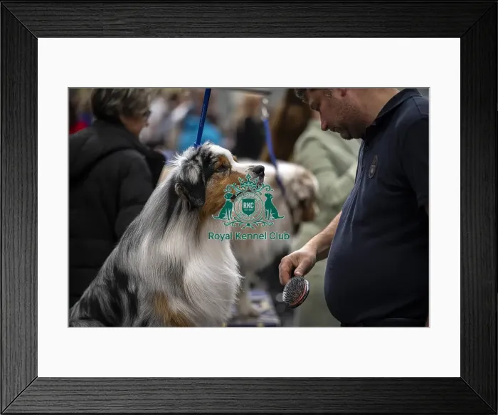 Framed Print : Lorenzo Marucco from Lake Como Framed Print : Lorenzo Marucco from Lake Como