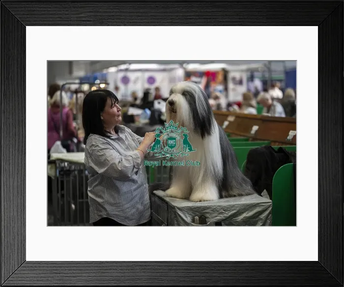 Framed Print : Jacqui Young from Wycombe with Simba Framed Print : Jacqui Young from Wycombe with Simba