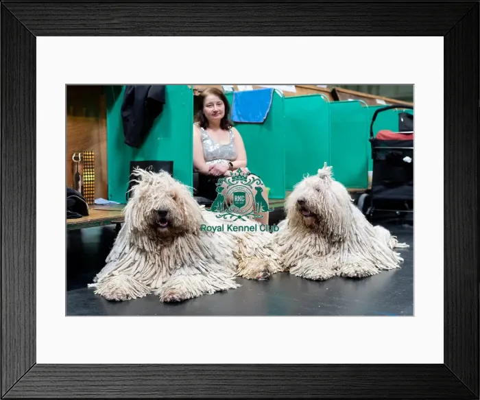 Framed Print : Anne Marie Kahkonen from Finland with Oskari (L) and Tara (R) Framed Print : Anne Marie Kahkonen from Finland with Oskari (L) and Tara (R)