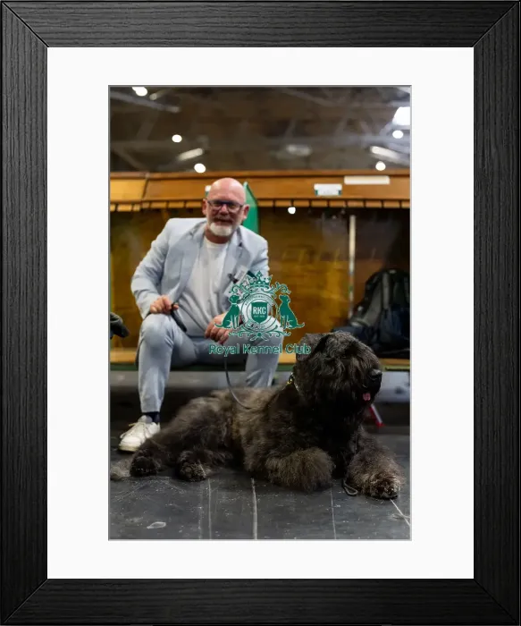 Framed Print : Olivier Bohn from France with Stanley