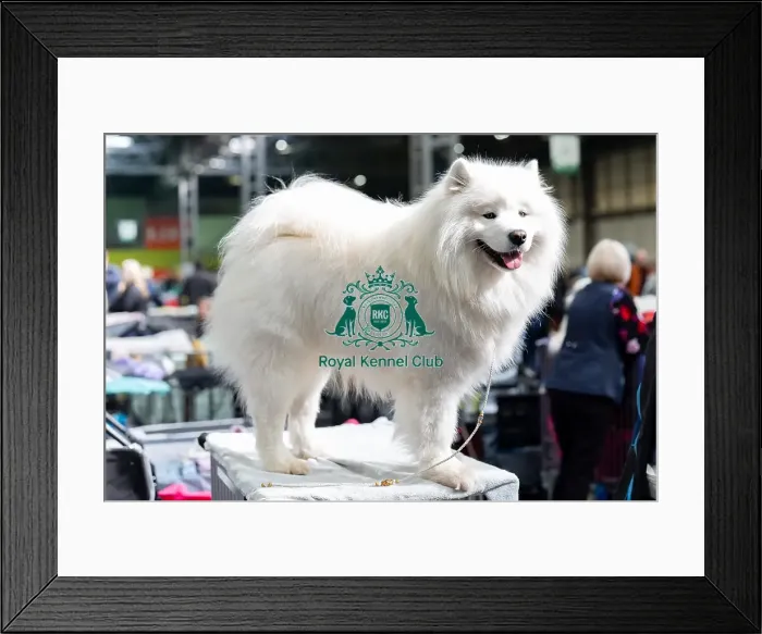 Framed Print : Iva Hopkins from Oxfordshire with Archie