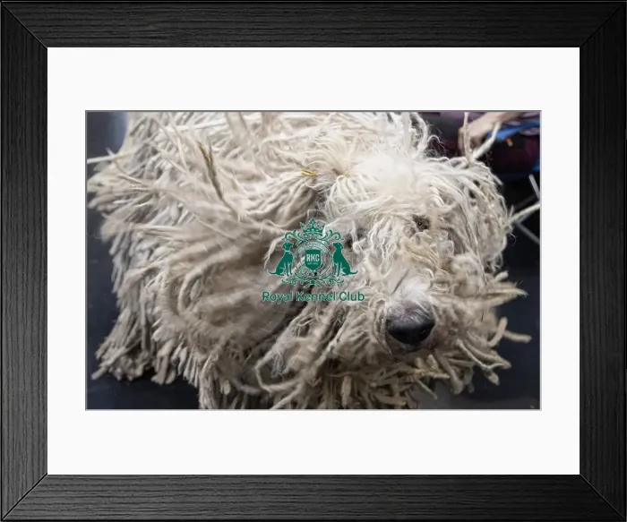 Framed Print : Ivona Aeem from Swizerland with Julie Framed Print : Ivona Aeem from Swizerland with Julie