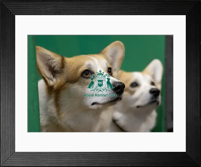 Framed Print : Vana Kouarova from the Czech Republic with Pernicek Framed Print : Vana Kouarova from the Czech Republic with Pernicek