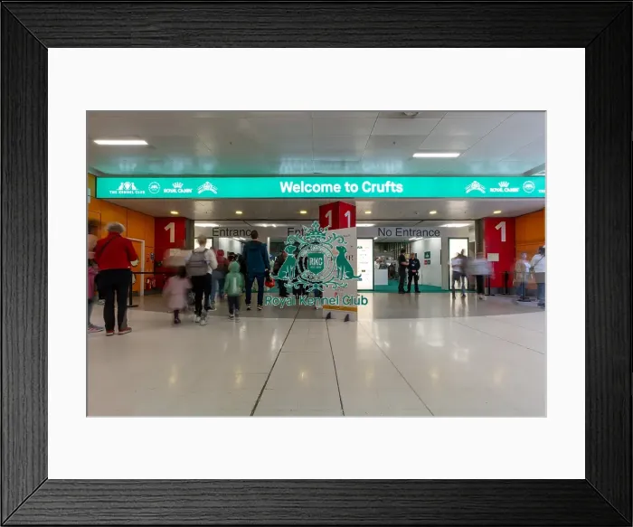 Framed Print : Crowd arriving in the NEC halls at Crufts Framed Print : Crowd arriving in the NEC halls at Crufts
