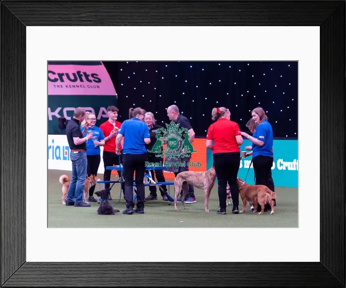 Framed Print : Elizabeth Rawlinson with her dog River competing in Good Citizen Dog Training scheme display in the main arena