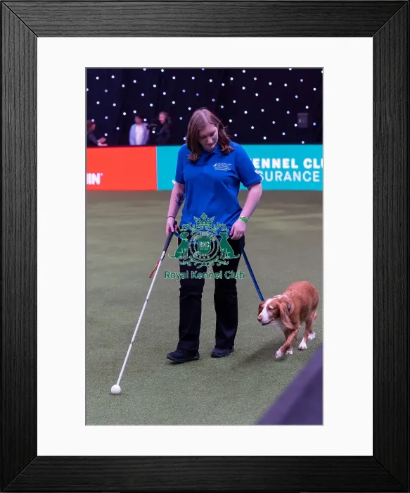 Framed Print : Elizabeth Rawlinson with her dog River competing in Good Citizen Dog Training scheme display in the main arena Framed Print : Elizabeth Rawlinson with her dog River competing in Good Citizen Dog Training scheme display in the main arena