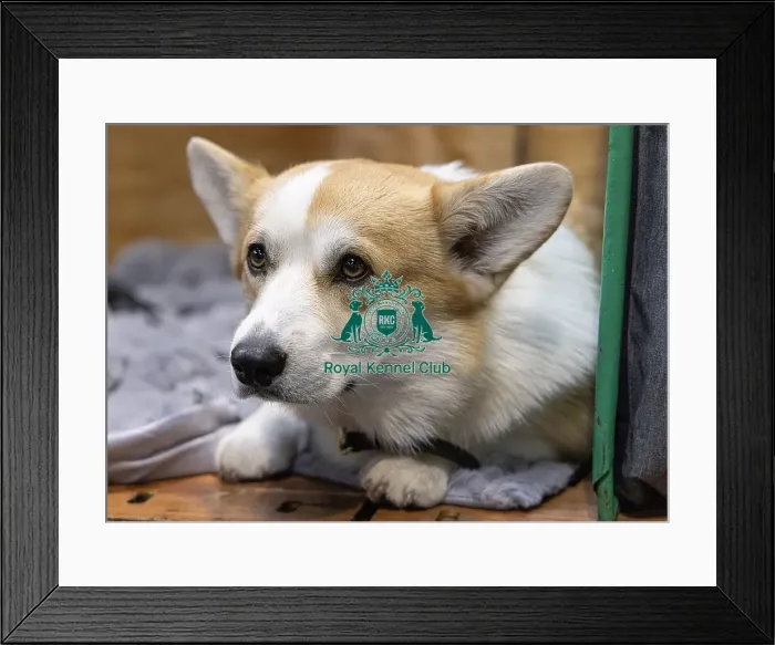 Framed Print : Vana Kouarova from the Czech Republic with Vanuska