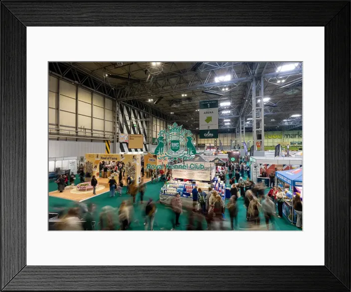 Framed Print : Hall 1 in the NEC halls at Crufts [Owner name] from [Hometown] with [DogName]