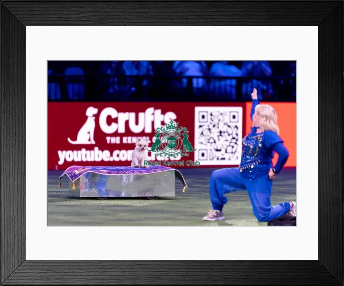 Framed Print : Lucy Heath Heelwork to Music Freestyle International Winner today (Saturday 08 / 03 / 25) Framed Print : Lucy Heath Heelwork to Music Freestyle International Winner today (Saturday 08 / 03 / 25)