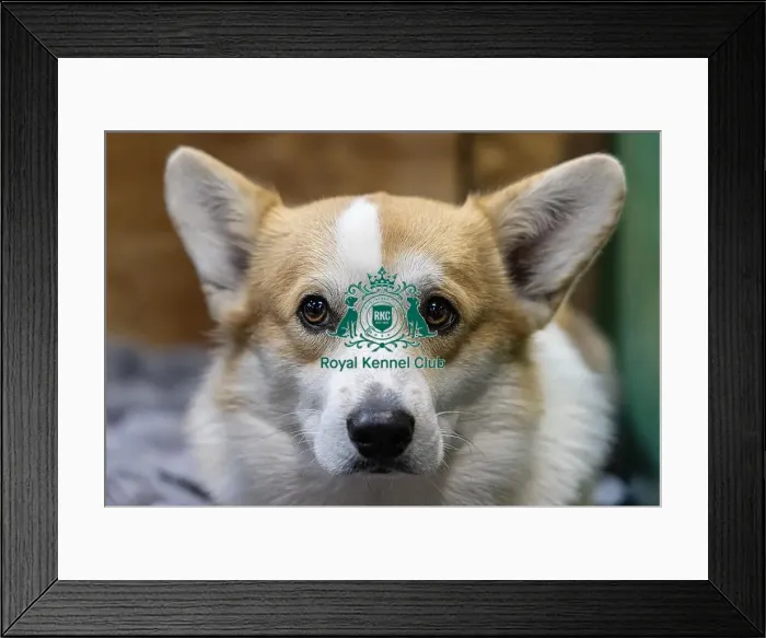 Framed Print : Vana Kouarova from the Czech Republic with Vanuska Framed Print : Vana Kouarova from the Czech Republic with Vanuska