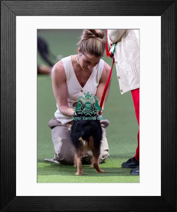 Framed Print : Gemma Atkinson talks to Bex Hall from Banbury with Lola