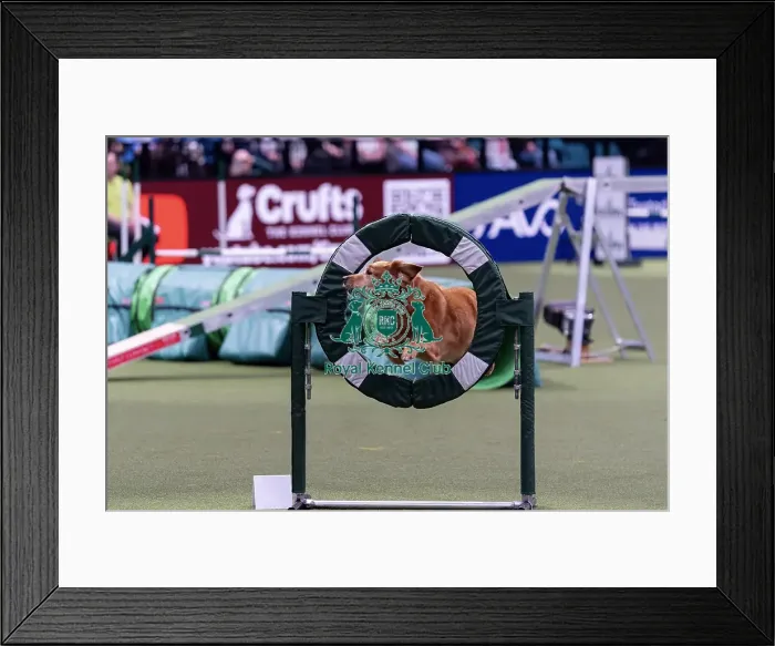 Framed Print : Heather Grant with Emily May of Winster