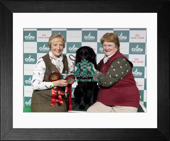 Framed Print : Winner of the Best in Gamekeeper Classes (L) Framed Print : Winner of the Best in Gamekeeper Classes (L)