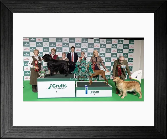 Framed Print : Winner of the Best in Gamekeeper Classes (L) Framed Print : Winner of the Best in Gamekeeper Classes (L)