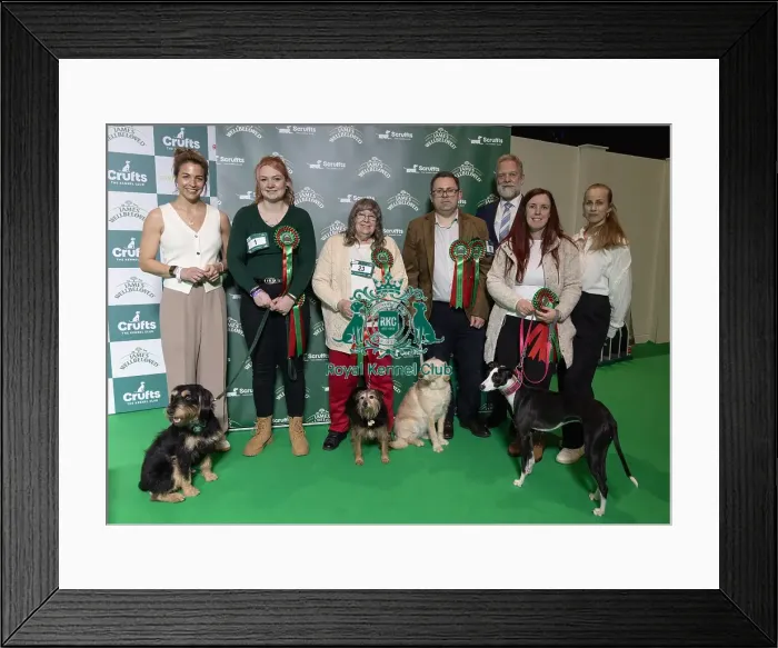 Framed Print : Winner of Scruffts Bex Hall with Lola and Judge Gemma Atkinson and the finalists today (Saturday 08 / 03 / 25) Framed Print : Winner of Scruffts Bex Hall with Lola and Judge Gemma Atkinson and the finalists today (Saturday 08 / 03 / 25)