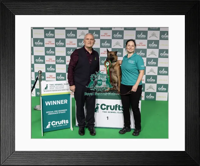 Framed Print : Winner of the Kennel Club Good Citizen Dog Training Scheme Framed Print : Winner of the Kennel Club Good Citizen Dog Training Scheme