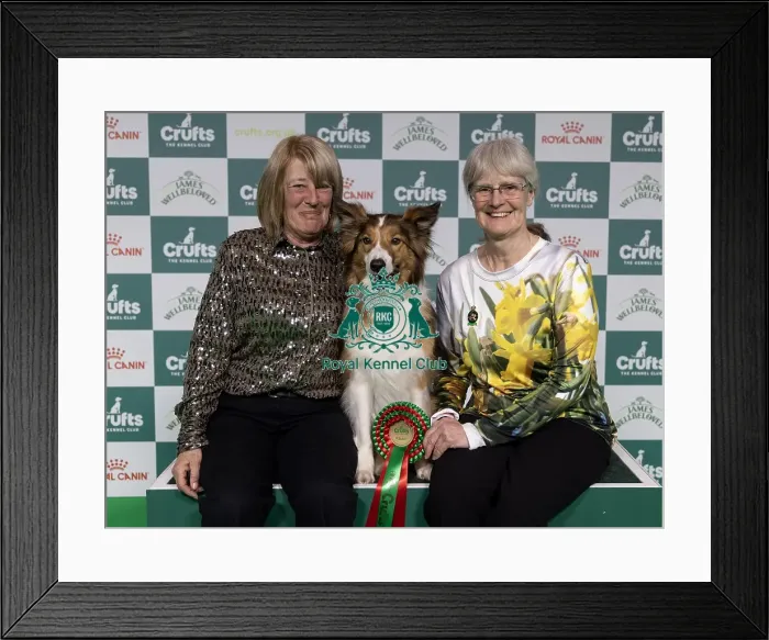 Framed Print : Runner up of the Obedience Championship Rachel Millington with OBCH Tragic Lightning Star Framed Print : Runner up of the Obedience Championship Rachel Millington with OBCH Tragic Lightning Star