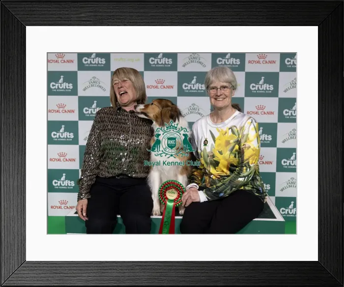 Framed Print : Runner up of the Obedience Championship Rachel Millington with OBCH Tragic Lightning Star Framed Print : Runner up of the Obedience Championship Rachel Millington with OBCH Tragic Lightning Star