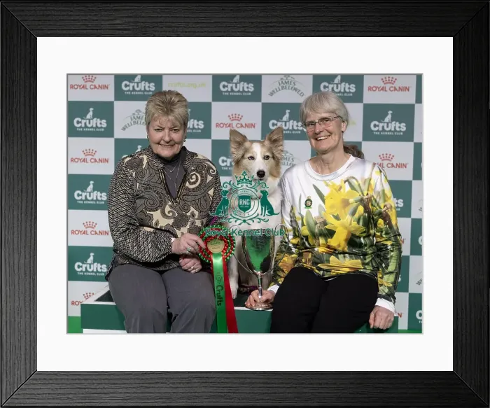 Framed Print : Winner of the Obedience Championship Mary Ray with Ouch Sarcam Sings The Blues Framed Print : Winner of the Obedience Championship Mary Ray with Ouch Sarcam Sings The Blues