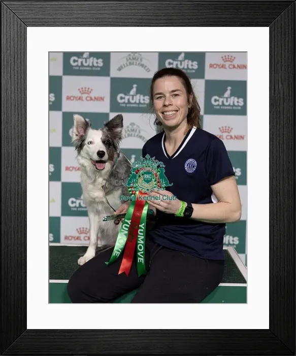 Framed Print : Winner of the International Invitational Large Agility Final Perry Dewitt from the USA with Genuine Framed Print : Winner of the International Invitational Large Agility Final Perry Dewitt from the USA with Genuine