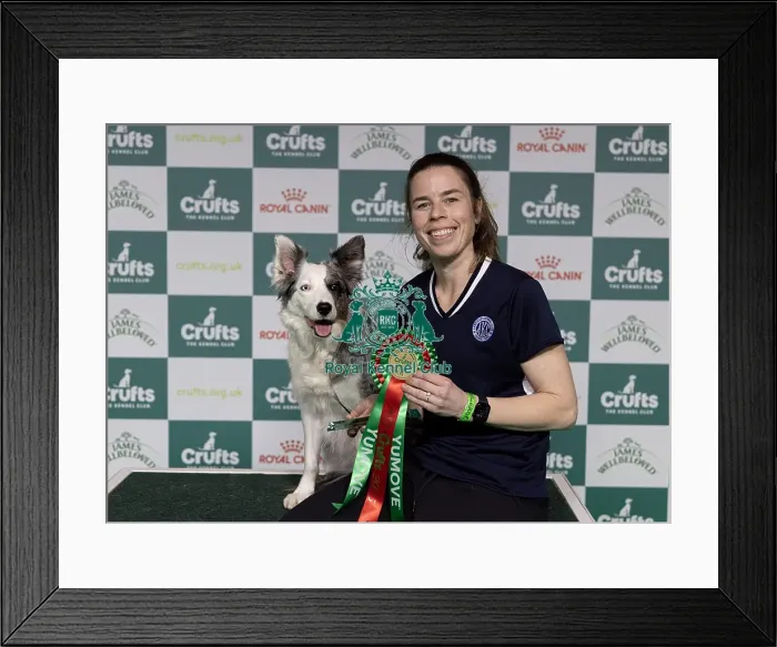 Framed Print : Winner of the International Invitational Large Agility Final Perry Dewitt from the USA with Genuine Framed Print : Winner of the International Invitational Large Agility Final Perry Dewitt from the USA with Genuine