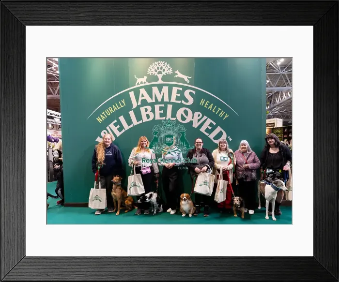 Framed Print : Photocall with Scrufft's semi finalists on the James Wellbeloved stand Good Citizen Dog Training Scheme Emma Hindson Framed Print : Photocall with Scrufft's semi finalists on the James Wellbeloved stand Good Citizen Dog Training Scheme Emma Hindson