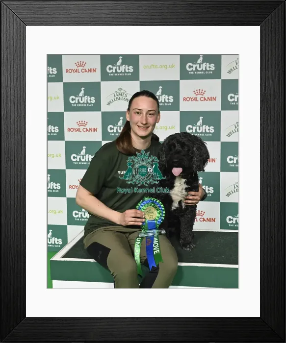 Framed Print : Agility - Crufts Intermediate Novice ABC Final Runner-up Framed Print : Agility - Crufts Intermediate Novice ABC Final Runner-up