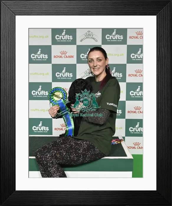Framed Print : Agility - Crufts Medium ABC Final runner-up Laura Warwick with Midnight Bloom Framed Print : Agility - Crufts Medium ABC Final runner-up Laura Warwick with Midnight Bloom