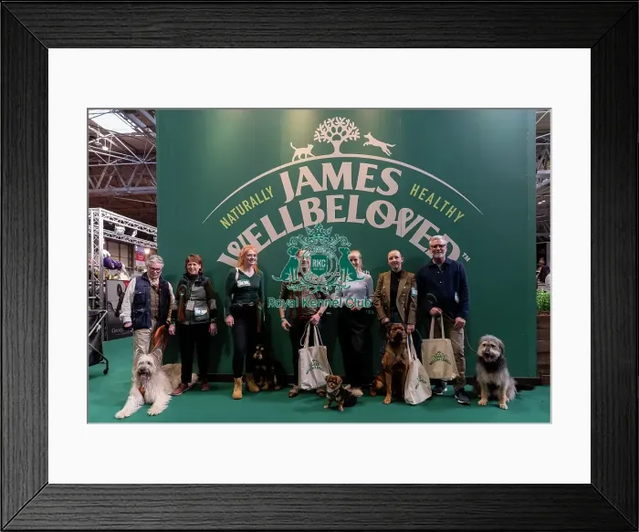 Framed Print : Photocall with Scrufft's semi finalists on the James Wellbeloved stand Golden Oldie Crossbreed Karen Cook Framed Print : Photocall with Scrufft's semi finalists on the James Wellbeloved stand Golden Oldie Crossbreed Karen Cook