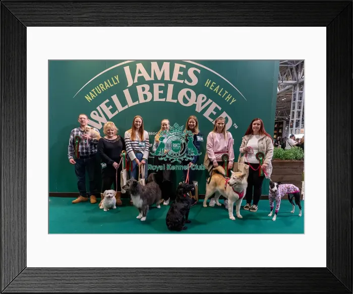 Framed Print : Photocall with Scruffts semi finalists on the James Wellbeloved stand Prettiest Crossbreed Bitch Mr Maddock Framed Print : Photocall with Scruffts semi finalists on the James Wellbeloved stand Prettiest Crossbreed Bitch Mr Maddock