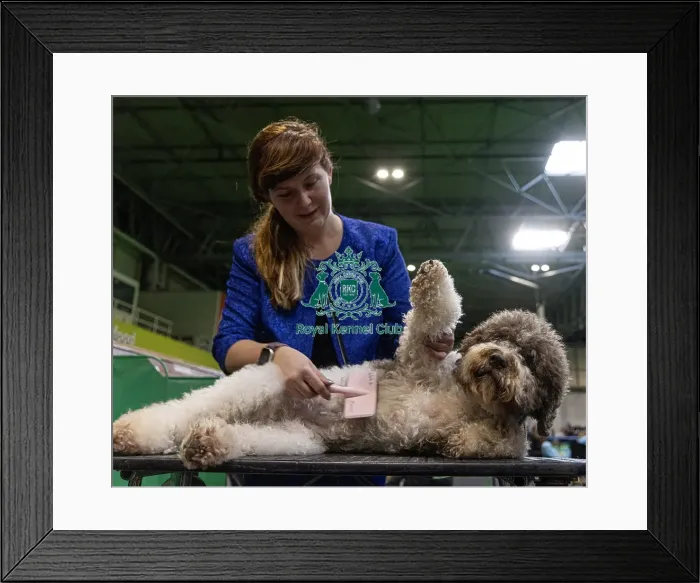 Framed Print : Simona Hlavackova from the Czech Republic with Poppy