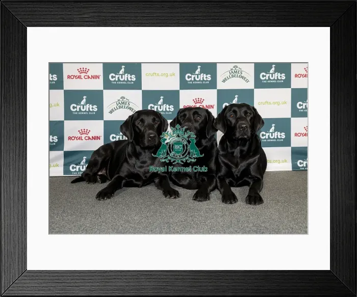 Framed Print : Kira Leith-Ross, from Stainton Village Framed Print : Kira Leith-Ross, from Stainton Village