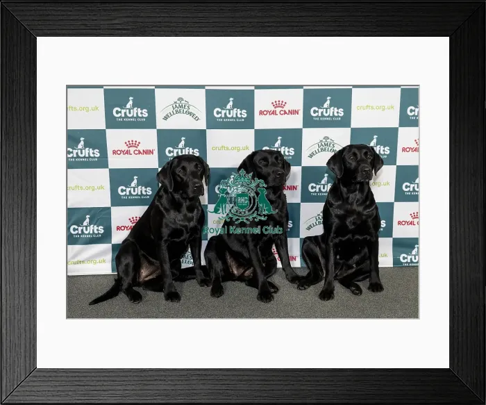 Framed Print : Case Study - Kira Leith-Ross, from Stainton Village Framed Print : Case Study - Kira Leith-Ross, from Stainton Village