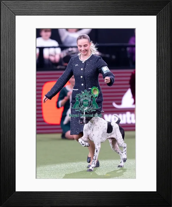 Framed Print : Joe Cartledge Memorial International Junior Handling Competition Winner Julie Eriksen with Arthur Framed Print : Joe Cartledge Memorial International Junior Handling Competition Winner Julie Eriksen with Arthur