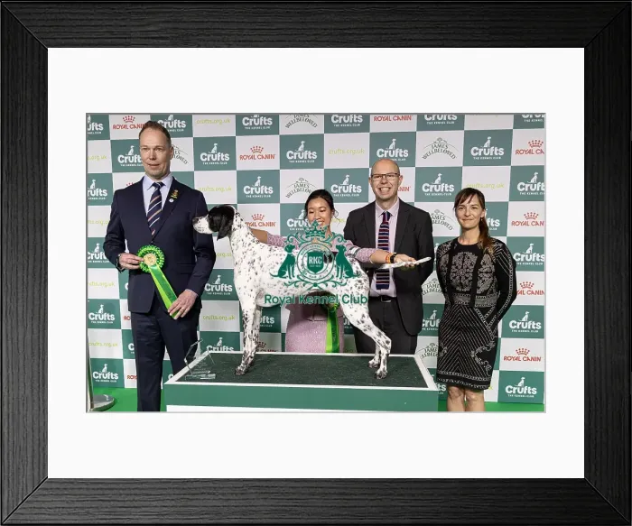 Framed Print : Joe Cartledge Memorial International Junior Handling Competition Framed Print : Joe Cartledge Memorial International Junior Handling Competition