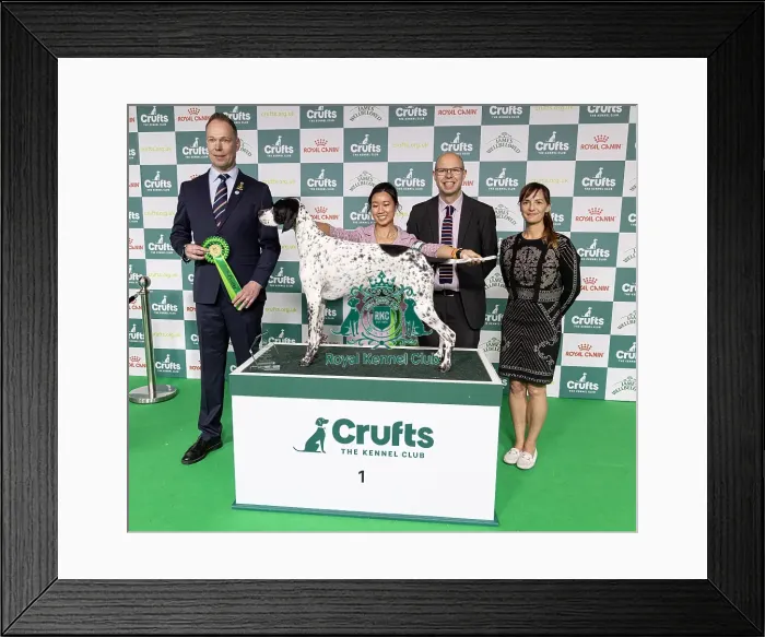Framed Print : Joe Cartledge Memorial International Junior Handling Competition Framed Print : Joe Cartledge Memorial International Junior Handling Competition